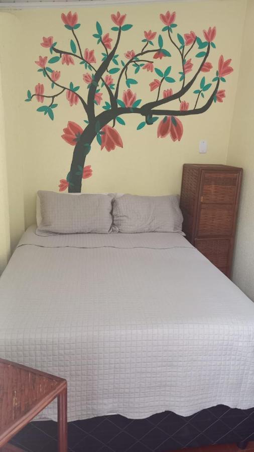 Hostel Sol Da Barra Salvador Kültér fotó
