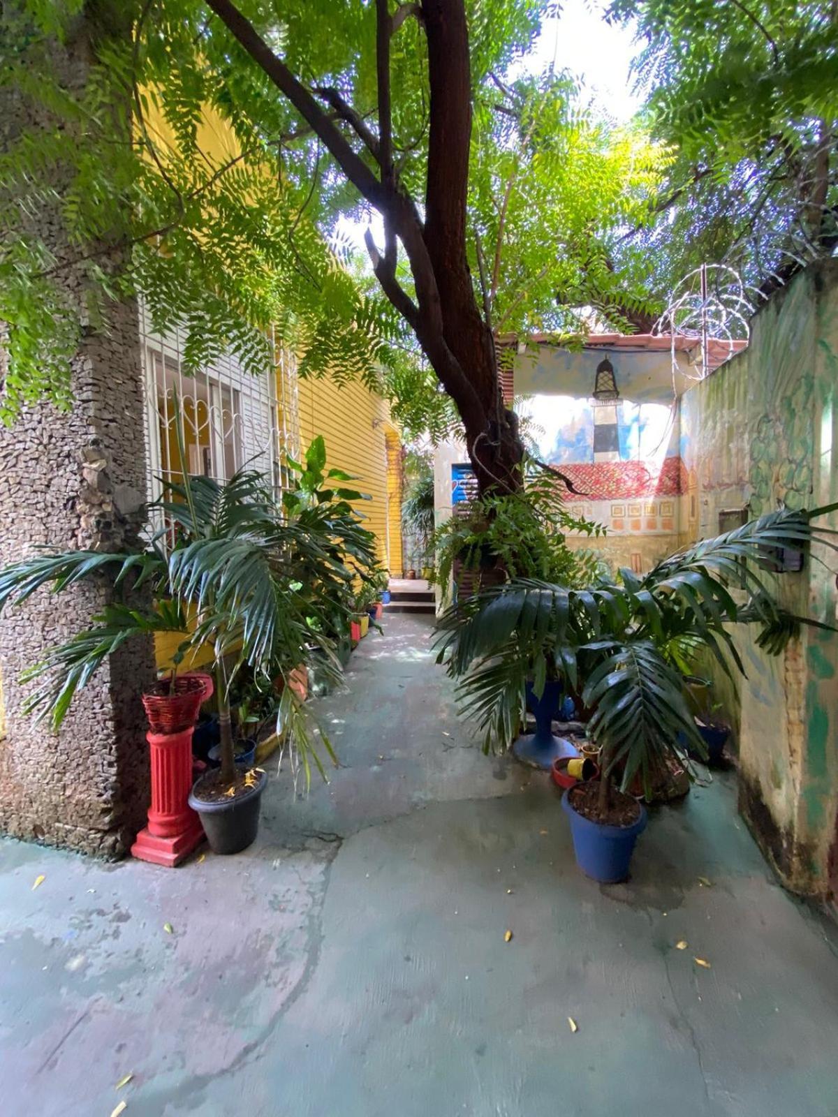 Hostel Sol Da Barra Salvador Kültér fotó